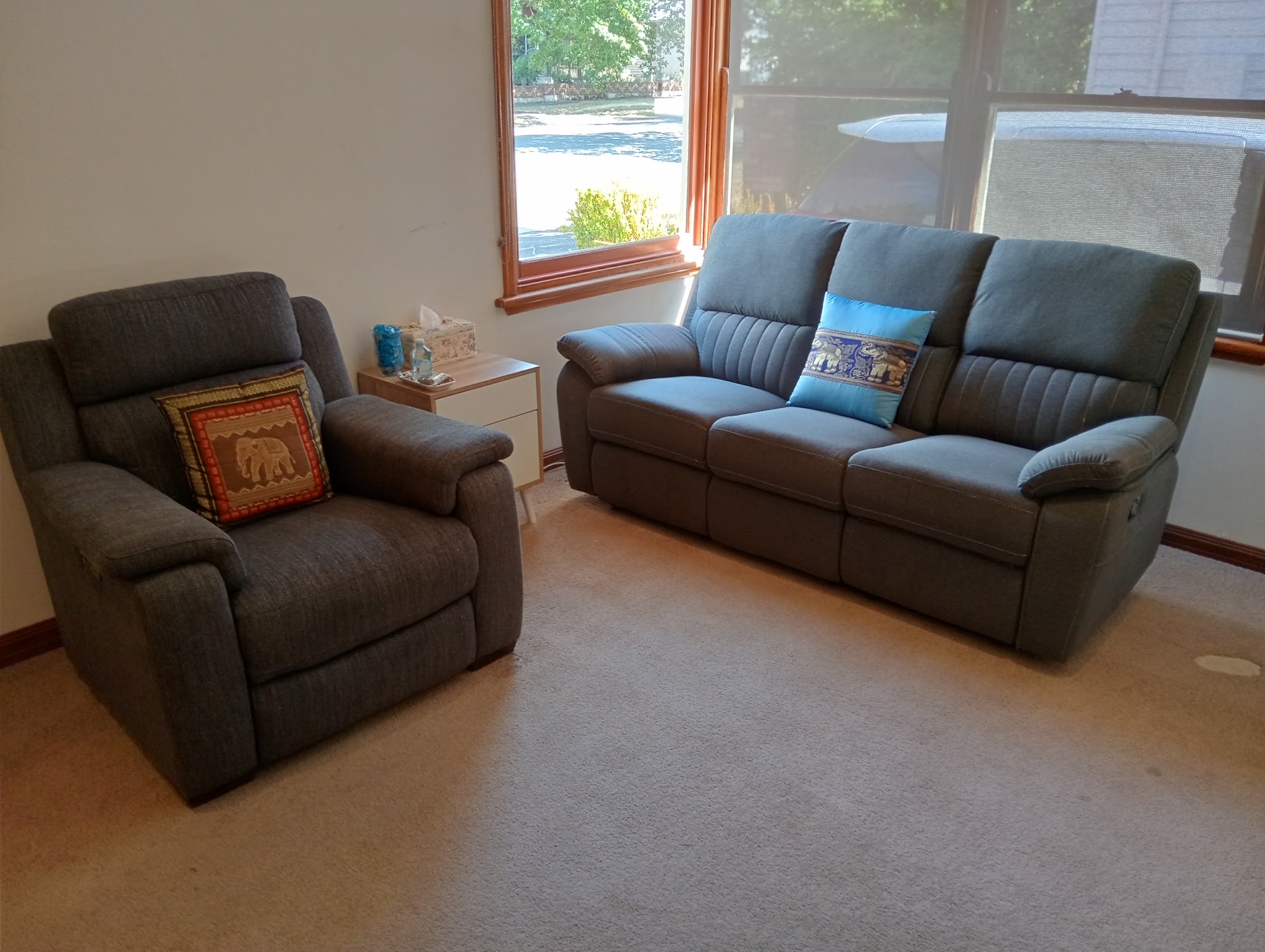 Waiting lounge with grey recliners and Thai elephant cushions in front of a sunny window